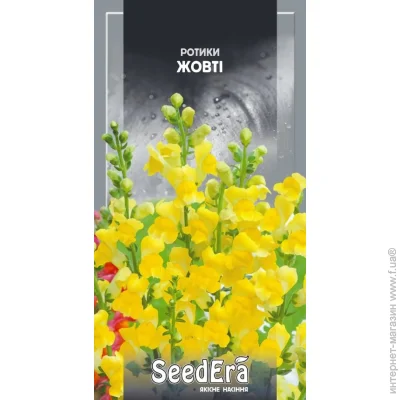Seedera       0,2  0.2 