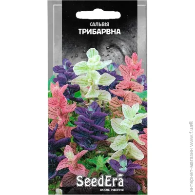 Seedera   0,2  0.2 