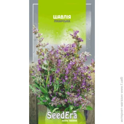Seedera   0,3  0.3 