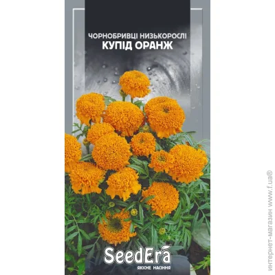 Seedera    0,5  (4823073725108) 0.5 