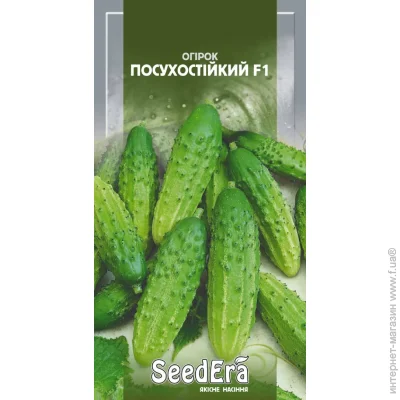 Seedera   0,5 0.5 