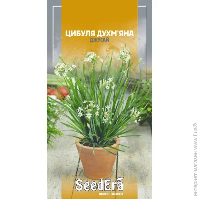 Seedera     5 0.5 