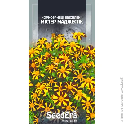 Seedera   ̳  0,5  0.5 