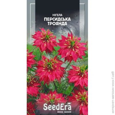 Seedera    0,5  0.5 