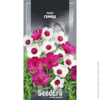 Seedera   0,5  0.5 
