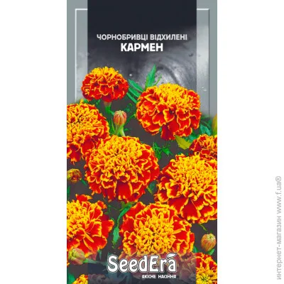Seedera    0,5  0.5 