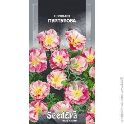 Seedera     0,5  0.5 