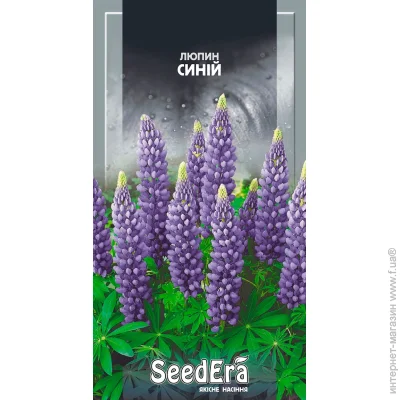 Seedera   0,5  0.5 