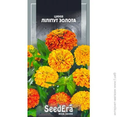 Seedera    ˳  0,5  0.5 