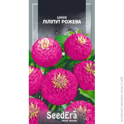 Seedera   ˳  0,5  0.5 