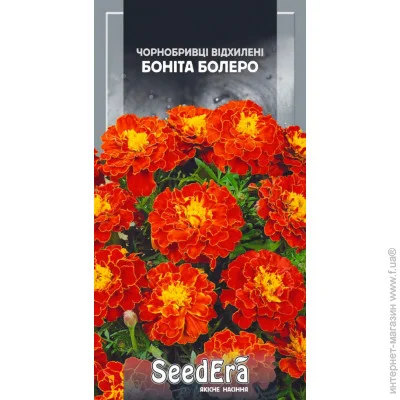Seedera     0,5  0.5 
