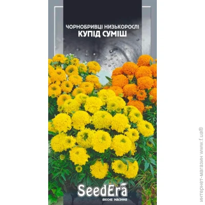 Seedera    0,5  0.5 