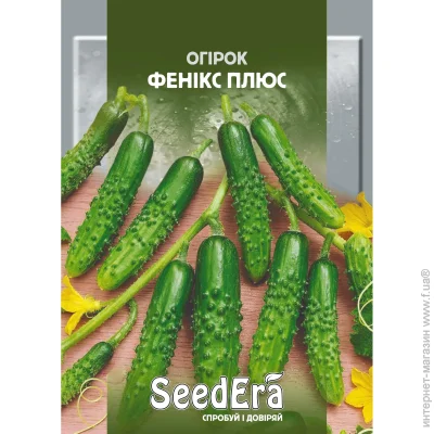 Seedera огірок Фенікс плюс 10г (4823114400186) 10 г Seedera огірок Фенікс плюс 10г (4823114400186) 10 г