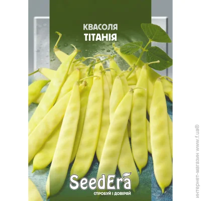 Seedera    10 (4823114400308) 10 