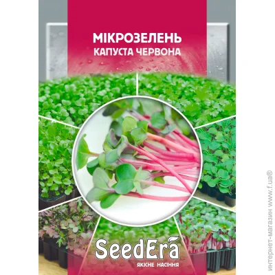 Seedera    10 10 