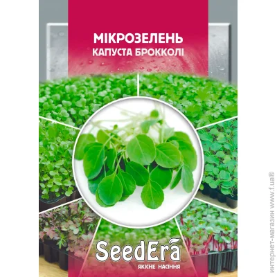 Seedera    10 10 