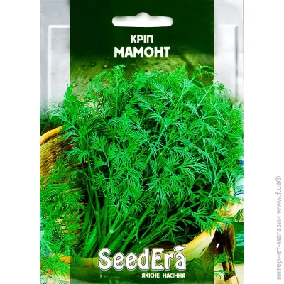 Seedera   10  10 