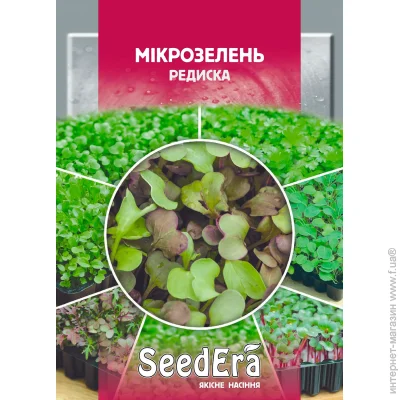 Seedera   10 10 