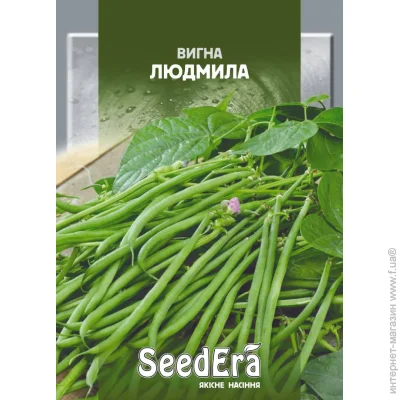Seedera     10 10 