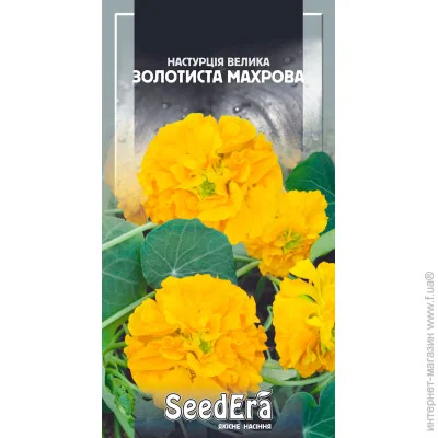 Seedera      1,5  1.5 