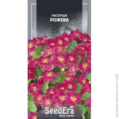 Seedera     1,5  1.5 