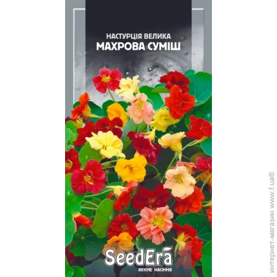 Seedera      1,5  1.5 