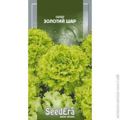 Seedera    1  (4823073721445) 1 