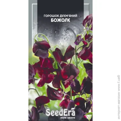 Seedera    1 (4823073723883) 1 