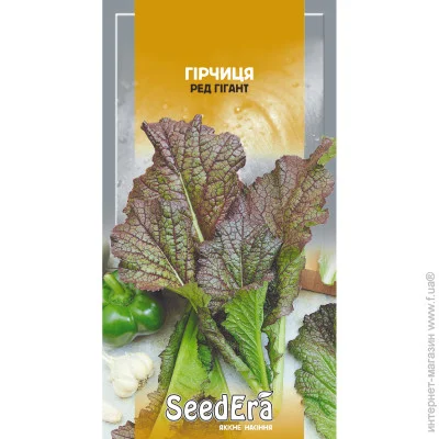 Seedera      1 (4823073724385) 1 