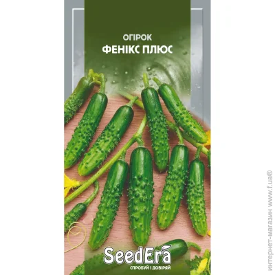 Seedera     1 (4823073701942) 1 