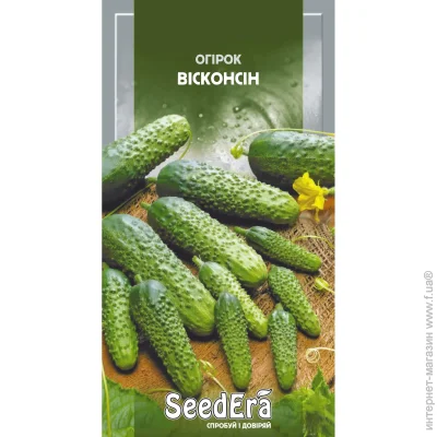 Seedera    1 (4823073701775) 1 