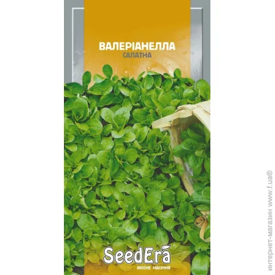 Seedera   1  1 