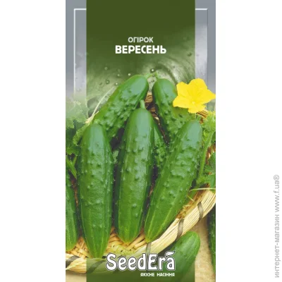 Seedera    1 (4823073725054) 1 