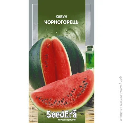 Seedera   1 1 