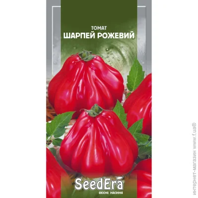 Seedera     1 (4823073723685) 1 