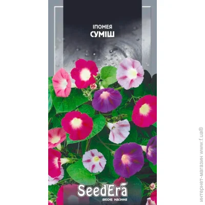 Seedera   1  1 