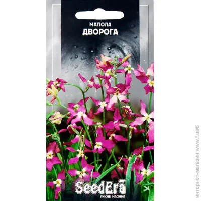 Seedera   1  1 