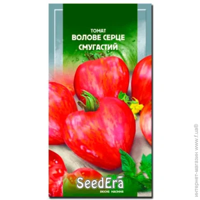 Seedera     1 1 