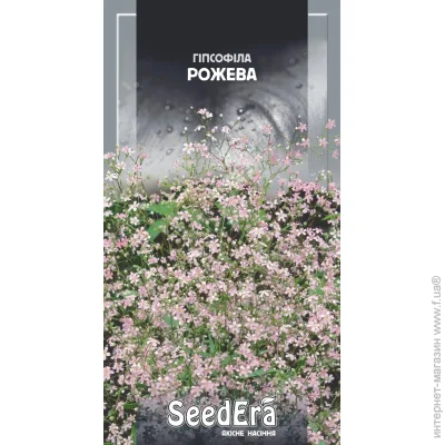 Seedera    1  1 