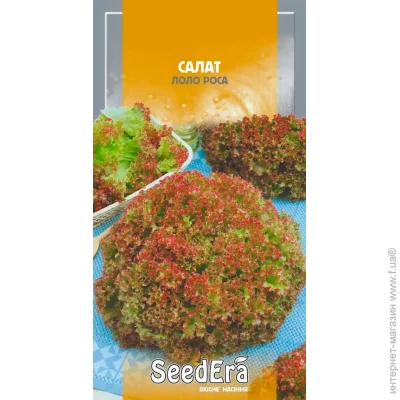 Seedera    1 1 