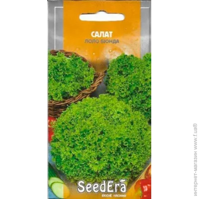 Seedera    1 1 
