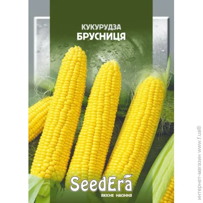 Seedera    20 (4823073727393) 20 