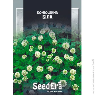 Seedera   20  20 