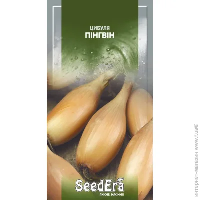 Seedera    2 (4823073721933)