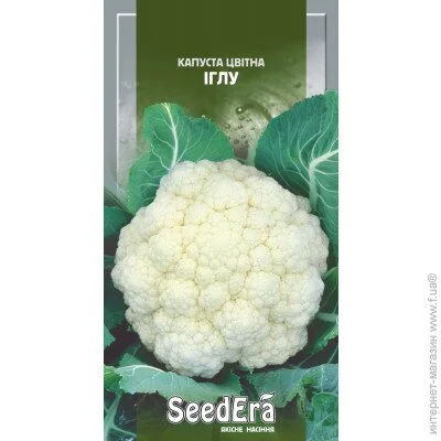Seedera    30 . (4823073718391)