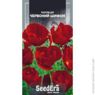 Seedera     3  3 
