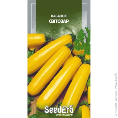 Seedera   3 3 