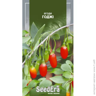 Seedera   3