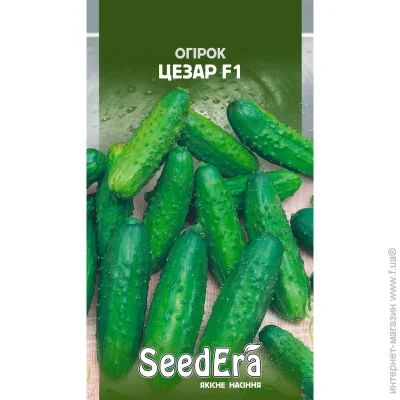Seedera    F1 0,5 (4823073701959) 0.5 