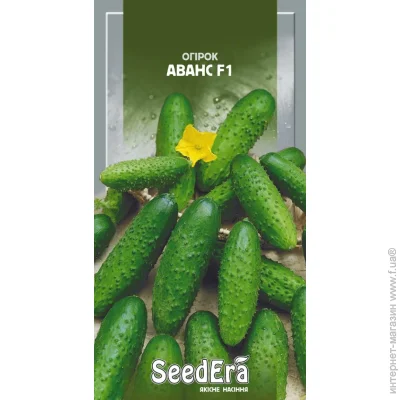 Seedera    F1 10 . (4823073704554)